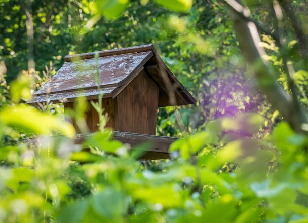 Alimentador de aves de madera en la Reserva Natural del Parque Vacaresti, en Bucarest
. - Foto, imagen