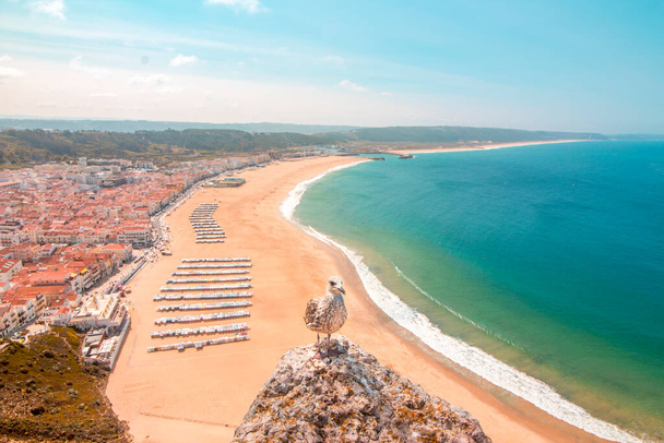 Portekiz, Nazar 'ın panoramik hava görüntüsü. Arka planda bir uçurumda martı, plaj ve deniz (Atlantik Okyanusu). - Fotoğraf, Görsel