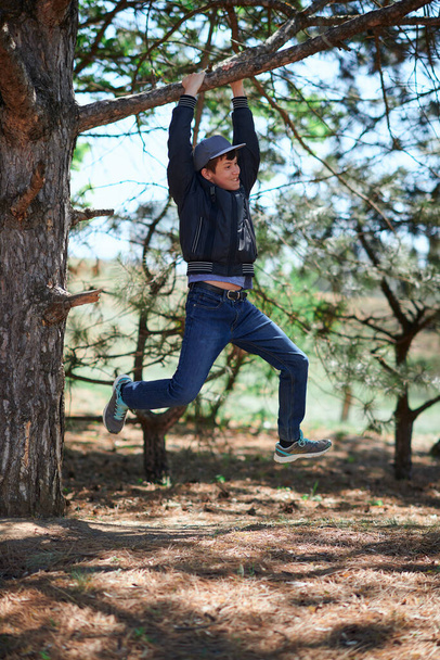 Teenage boy playing outdoor, climbing a tree, bright sunlight, beautiful day - Foto, afbeelding