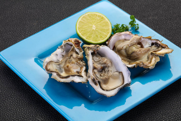Verse oesters met limoen en peterselie - Foto, afbeelding