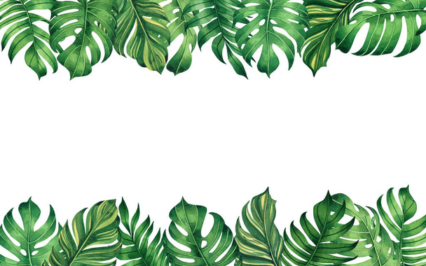 Vesiväri maalaus runko trooppisia lehtiä monstera, kämmen, vihreä lehti valkoisella taustalla. Vesiväri käsin piirretty kuva trooppinen eksoottinen lehtiä kortti, suunnittelu, häät kutsu, julisteita tai tallentaa päivämäärän - Valokuva, kuva