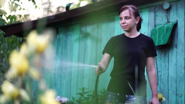 Hortumla sebze bahçesini sulayan genç bir kadın. Kadınların sulanmasına yakın durun. Yaz ve bahçe bakımı kavramı, organik ürünler ve çevre dostu yaşam tarzı. - Video, Çekim