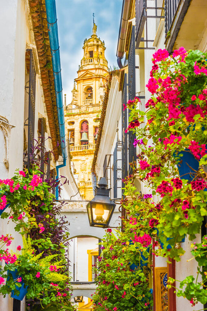 Calleja de las Flores, Cordoba, Španělsko - Fotografie, Obrázek