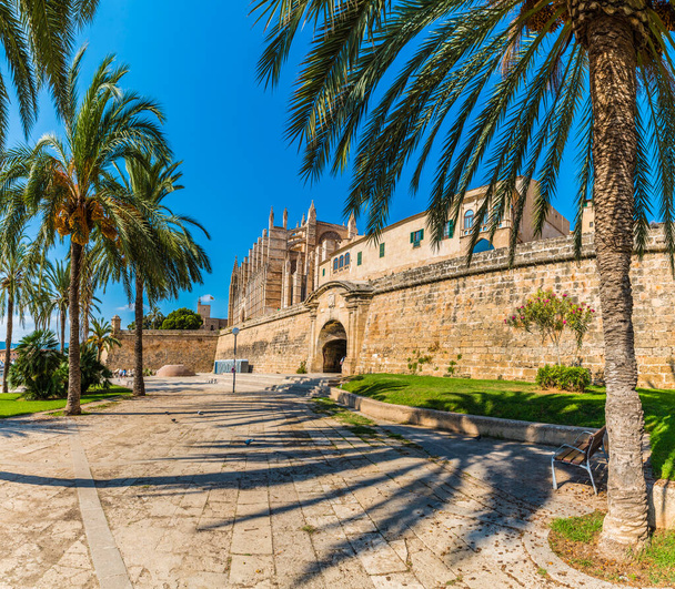スペインのパルマ・デ・マリョルカ島にあるゴシック様式の大聖堂と中世のラ・セウ - 写真・画像