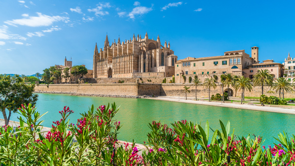 Krajobraz z katedrą La Seu, wyspy Palma de Mallorca, Hiszpania - Zdjęcie, obraz