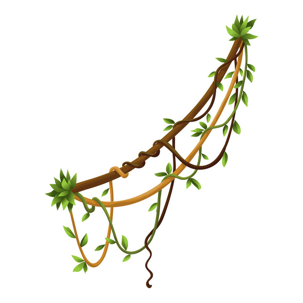 ねじれた野生のリアナの枝の旗。ジャングルのつる植物。ウッディ自然熱帯雨林 - ベクター画像