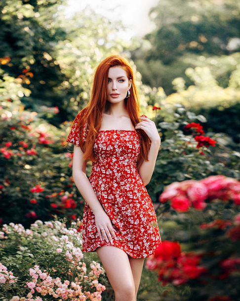 Beautiful red-haired girl in a short red dress. Posing in the summer in the garden with flowers roses - Foto, immagini