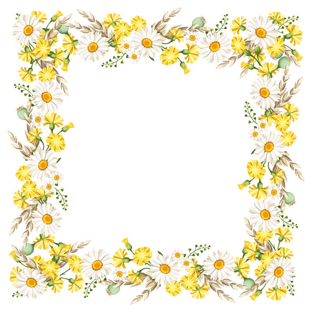 Vektorový rám se sedmikráskami a žlutými divokými květy a ušima z pšenice.  - Vektor, obrázek