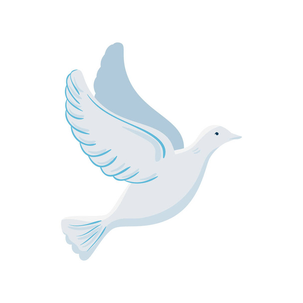 white dove flying on white background - Vettoriali, immagini