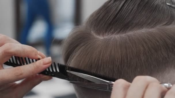 Professionele vrouwelijke hairstylist kammen en knippen man haar - Video