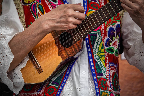 Gitarzysta występuje z tradycyjnym peruwiańskim zespołem na Mexico Festival w Yoyogi Park. - Zdjęcie, obraz