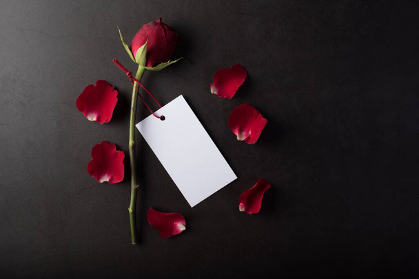 Rosa Vermelha com cartão branco
 - Foto, Imagem