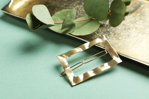Stylish hair clip, plant and tray on green background - Fotó, kép