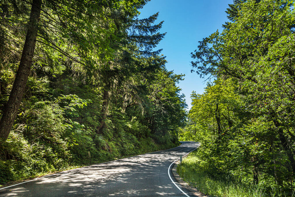 conducir en la hermosa naturaleza del bosque cerca de montañas de horquilla sur, EE.UU.
 - Foto, Imagen