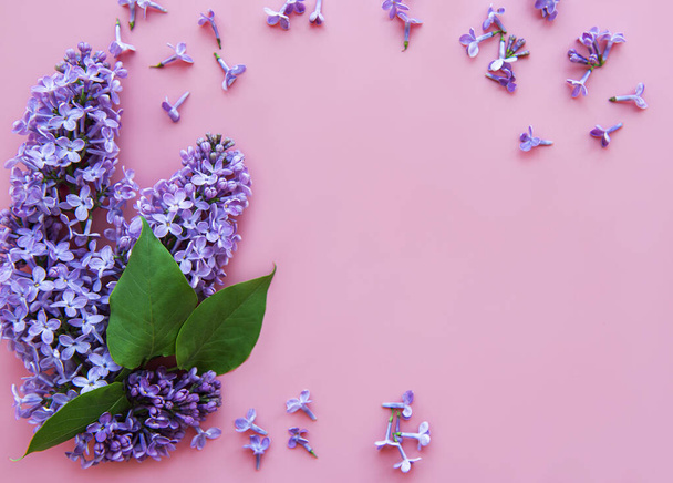 Branches and flowers of lilac on a pink background,  top viev, flat lay, copy space for  Easter, mother's day, women's day - Fotografie, Obrázek