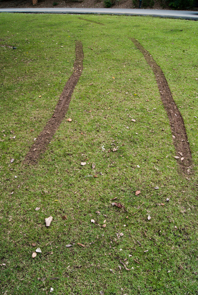 Шиномонтажні колії на газоні
 - Фото, зображення