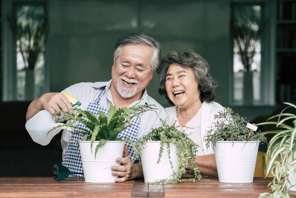 Ηλικιωμένα ζευγάρια συζητούν και φυτεύουν δέντρα σε γλάστρες. - Φωτογραφία, εικόνα