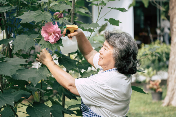 Vanhempi nainen keräämässä kukkia puutarhassa - Valokuva, kuva