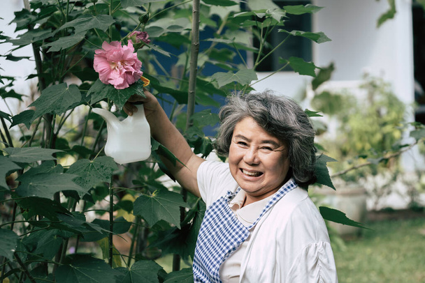 Donna anziana che raccoglie fiori in giardino - Foto, immagini