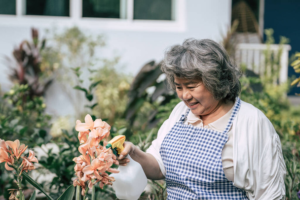 Yaşlı kadın bahçede çiçek topluyor. - Fotoğraf, Görsel