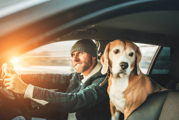 Man riding a car and his beagle dog sit inside with him - Fotoğraf, Görsel