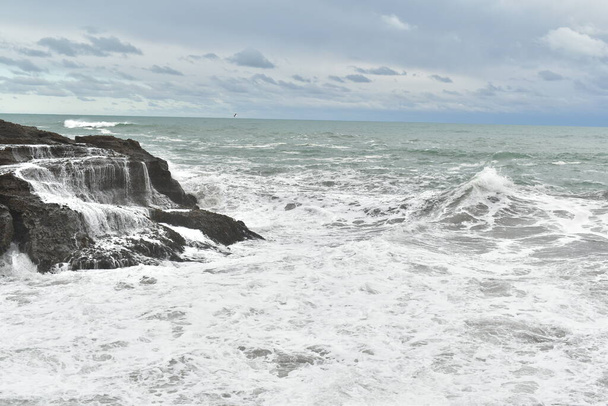 Kilátás Piha strand tengerparti szikla kialakulása - Fotó, kép