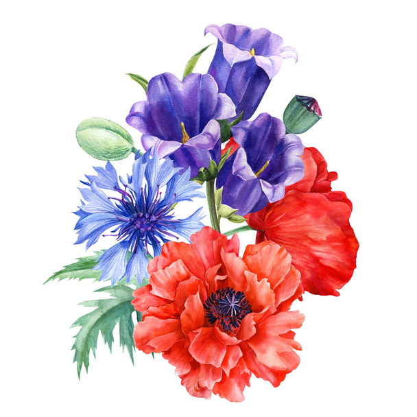 Bouquet of flowers, bells, anemone, poppy, cornflower on an isolated white background, watercolor flora design - Photo, Image