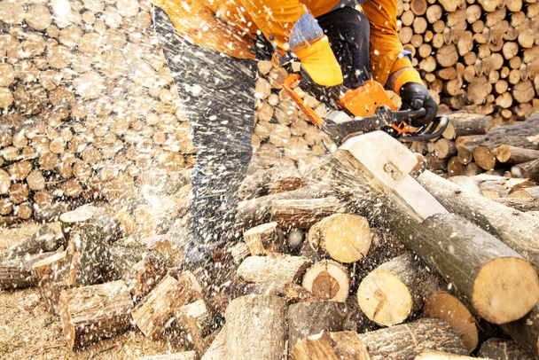 Chainsaw in action cutting wood. Man cutting wood with saw, dust and movements. Chainsaw. Close-up of woodcutter sawing chain saw in motion, sawdust fly to sides. - Photo, Image