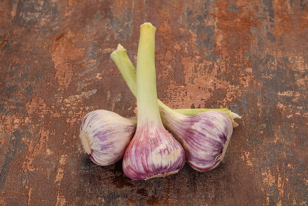 Young ripe aroma garlic heap - Photo, Image