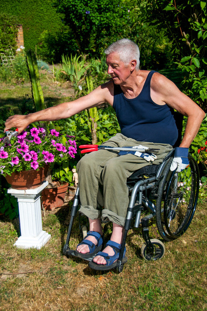 Садоводство в инвалидном кресле
 - Фото, изображение