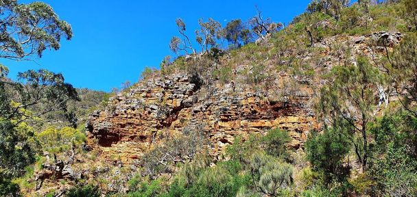 A panoramic shot of cliffs with trees under a blue clear sky - Foto, immagini