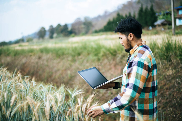 Smart farmer checking barley farm with laptop computer - Photo, Image