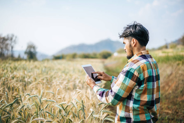 スマート農家タブレットコンピュータで大麦の農場をチェック - 写真・画像