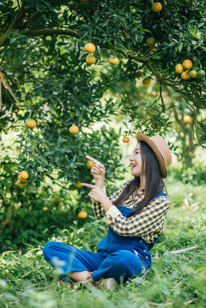 mujer havesting plantación naranja
 - Foto, imagen