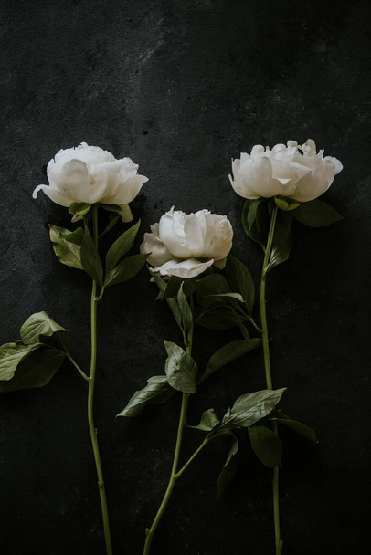 Siyah arkaplanda izole edilmiş beyaz güllerin dikey üst görünümü - Fotoğraf, Görsel