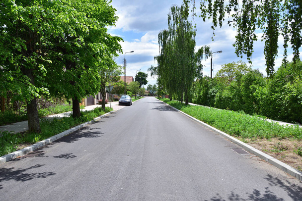 Asfalt yol ve asfalt, güneşli güneyde yeşil ağaçlarla gölgelenmiş. Yaz. - Fotoğraf, Görsel