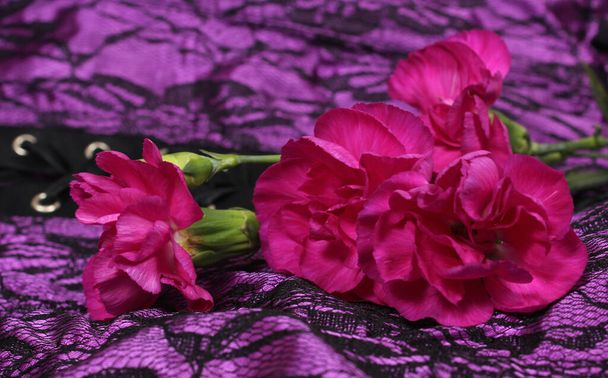 Flores rosadas en tela púrpura y negra
 - Foto, Imagen
