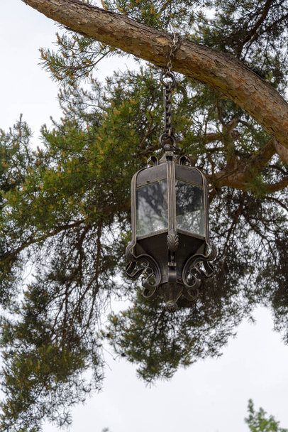 Een smeedijzeren lantaarn hangt in een boom op een zomerdag. Een oude lantaarn op een boom. - Foto, afbeelding
