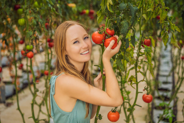 Primo piano della donna che tiene i pomodori sul ramo vicino al viso, pensando di mangiarli. - Foto, immagini