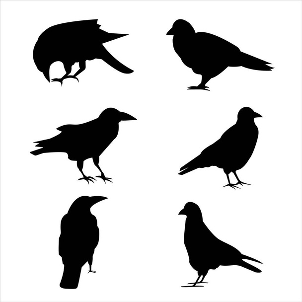 Set of silhouettes of raven and pigeons. Isolated images on a white background. Black outlines of birds for your design. Set of bird silhouettes. Isolated - Vektor, Bild
