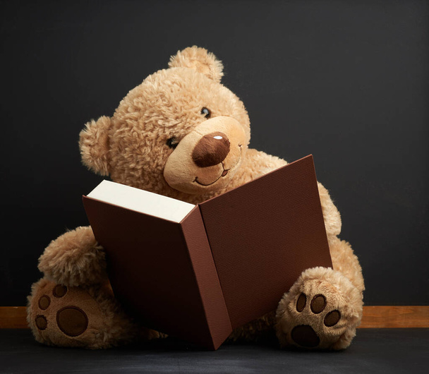ours en peluche marron assis avec un livre sur fond noir, concept d'activités de loisirs, retour à l'école - Photo, image