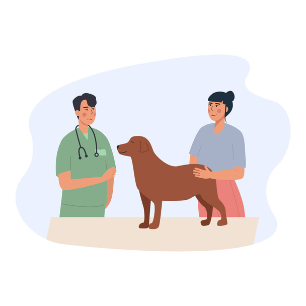 A dog at vet appointment. Owner with domestic animal - vaccination, vet passport, rehabilitation, sterilization. Labrador getting medical check-up. Pet care. Flat vector cartoon illustration.  - Vector, Image
