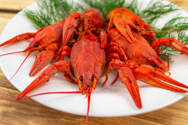 Boiled crayfish on a white plate decorated with dill, wooden background - Fotoğraf, Görsel