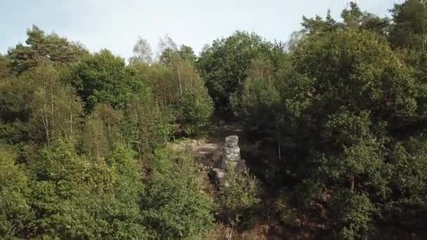 Aerial of Dolmen e Menhir a Weris Belgio - Filmati, video