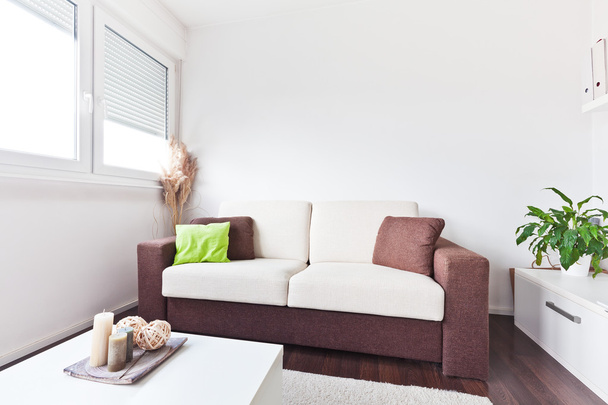 bílé a hnědé látky pohovka v obývacím pokoji s hnědý cushio - Fotografie, Obrázek