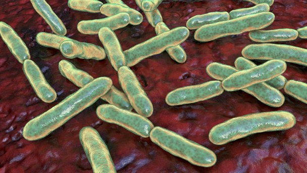 I batteri Bifidobacterium, batteri gram-positivi a forma di asta anaerobica che fanno parte della normale flora dell'intestino umano vengono utilizzati come probiotici e nella produzione di yogurt. Illustrazione 3D - Foto, immagini