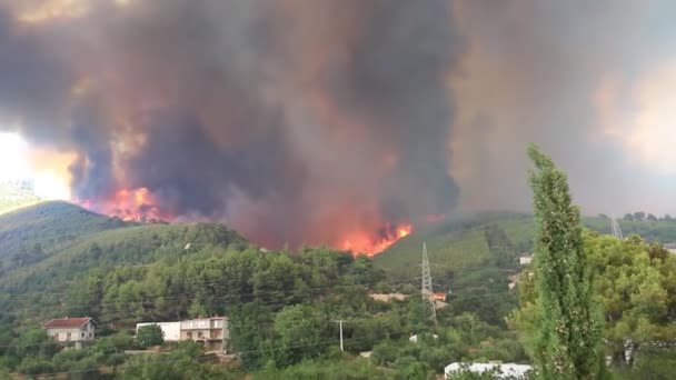 Zrnovnica, Split, Kroatia - 17. heinäkuuta 2017: Massiivinen kulovalkea polttaa metsää ja kyliä ympäri kaupunkia Split, raaka videomateriaali sekvenssi - Materiaali, video