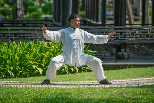 Fiatalember gyakorolja a hagyományos Tai Chi Chuan-t, Tai Ji-t és Qi Gong-ot a parkban az egészséges, hagyományos kínai harcművészeti koncepcióért.. - Fotó, kép