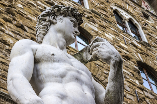 il David di Michelangelo
 - Foto, immagini