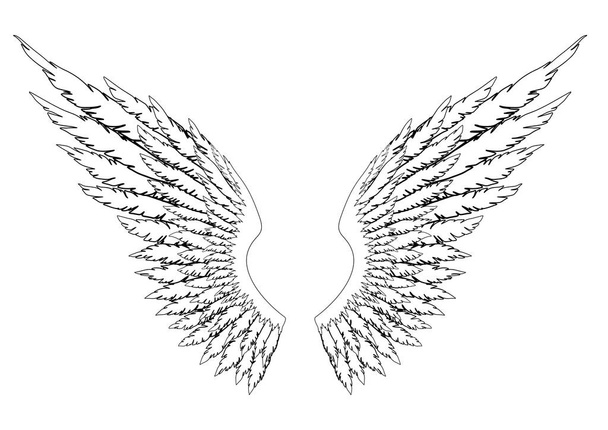 Black and white hand-drawn wings of angel or archangel, element of insignia or coat of arms. EPS 8. - Διάνυσμα, εικόνα